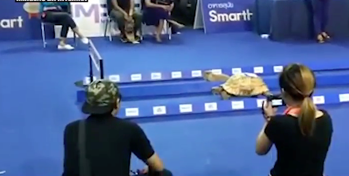 Направление важнее скорости